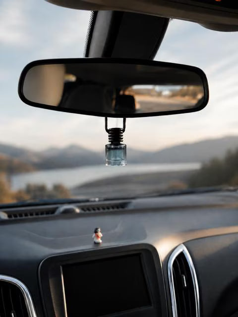 Black Car DIffusers